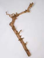Decowood - Pearwood