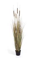 AUTUMN CATTAIL GRASS, Blätter: 396, Blüten: 5