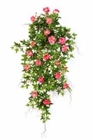 MORNING GLORY HANGING BUSH - Länge: 95cm, Blätter: 346, Blüten: 31