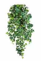 GRAPE IVY HANGING BUSH X 12 - Länge: 90cm, Blätter: 699