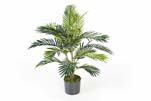 ARECA PALM W/POT - Länge: 90cm, Blätter: 17