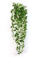 MAPLE IVY HANGING BUSH - Länge: 85cm, Blätter: 706
