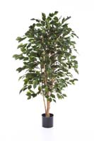 FICUS EXOTICA - Länge: 120cm, Blätter: 495