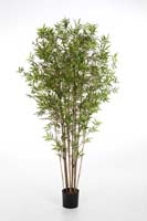 JAPANESE ORIENTAL BAMBOO - Länge: 90cm, Blätter: 1005