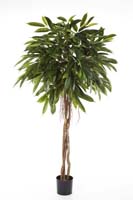 FAT LONGIFOLIA UMBRELLA - Länge: 180cm, Blätter: 500