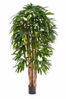 RAPHIS PALM TREE - Länge: 120cm, Blätter: 196