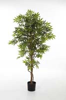 JAPANESE MAPLE - Länge: 150cm, Blätter: 399