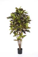 CROTON TREE - Länge: 120cm, Blätter: 209