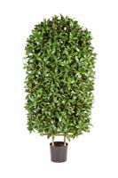 LAUREL SQUARE - Länge: 120cm, Blätter: 2664