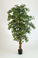 SWEET GINGKO FOREST TREE - Länge: 210cm, Blätter: 1612