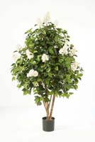 LILAC BUSH TREE - Länge: 145cm, Blätter: 1090, Blüten: 3122