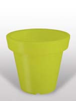 Bloom - Lime ø60/H:60