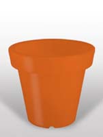 Bloom - Orange ø60/H:60