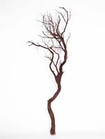 Decowood - Manzanita Braun L:150/