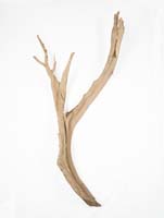 Decowood - Ghostwood sandblasted L:90/