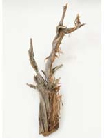 Decowood - Ghostwood raw L:120/